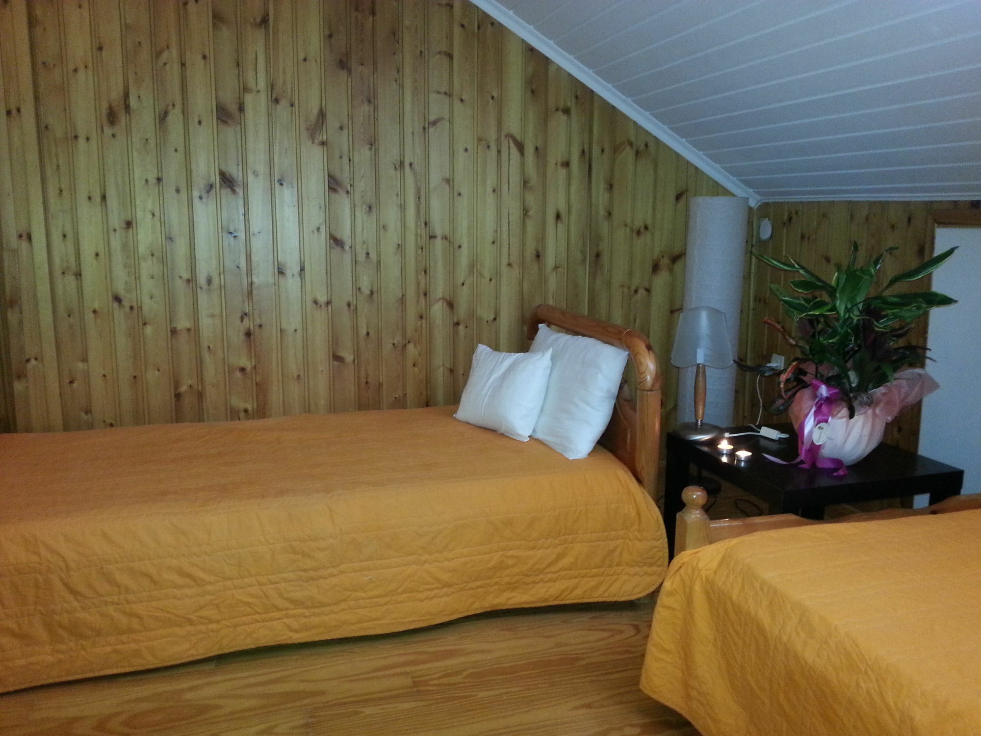 Lefkada Center Apartments Екстер'єр фото